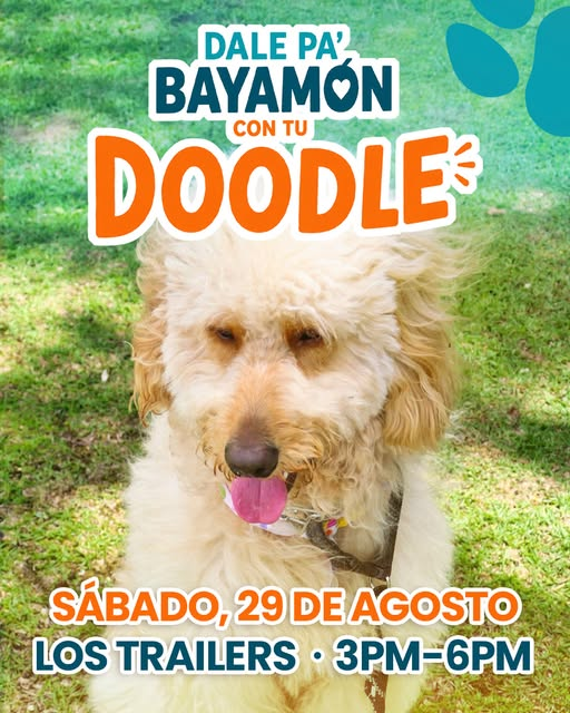 Dale pa' Bayamón con tu Doodle