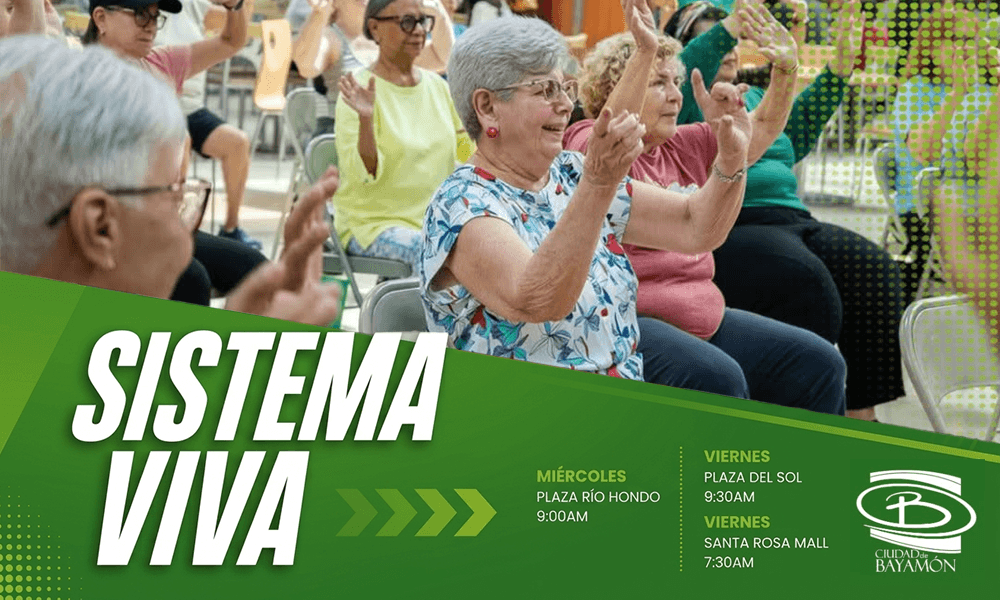 Sistema Viva Agosto 2026