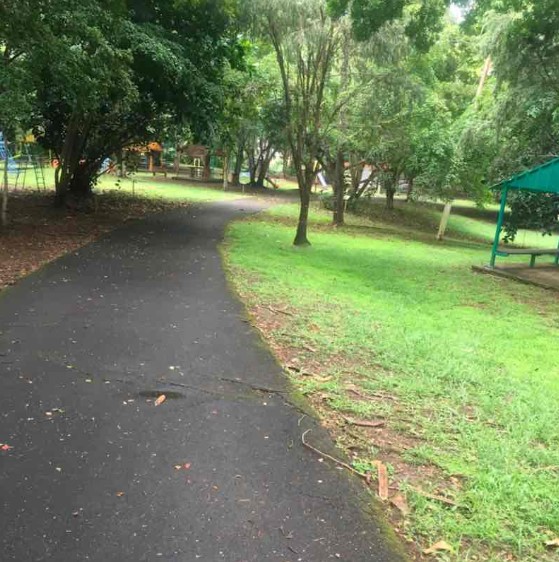 parque forestal de bayamón