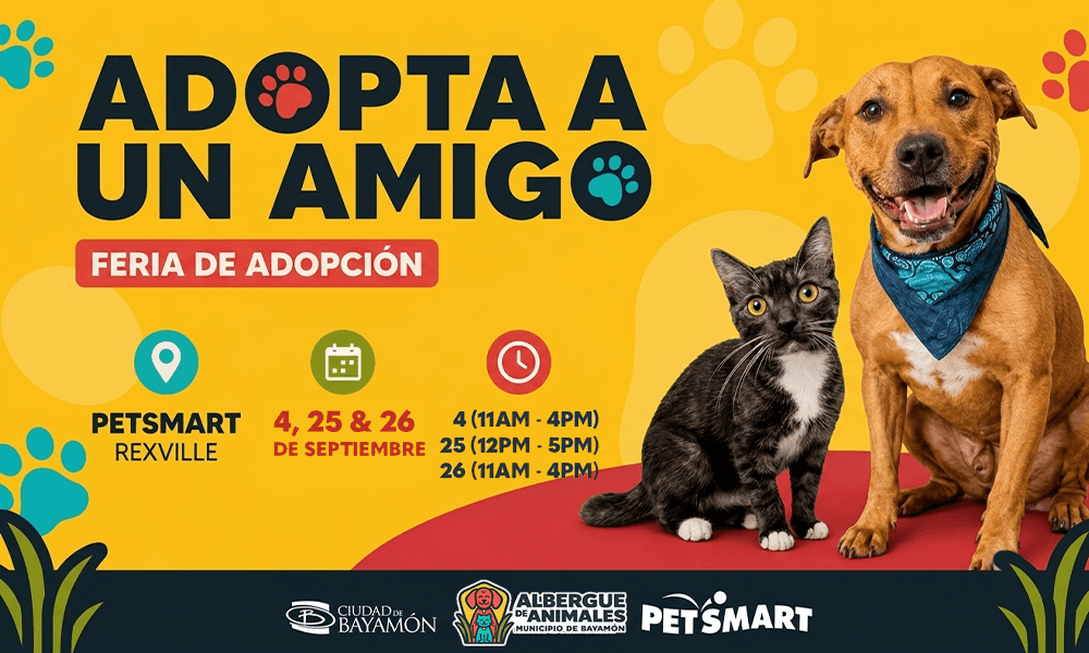 Adopta un Amigo el 4, 25 y 26 de septiembre de 2026 en Petsmart de Rexville
