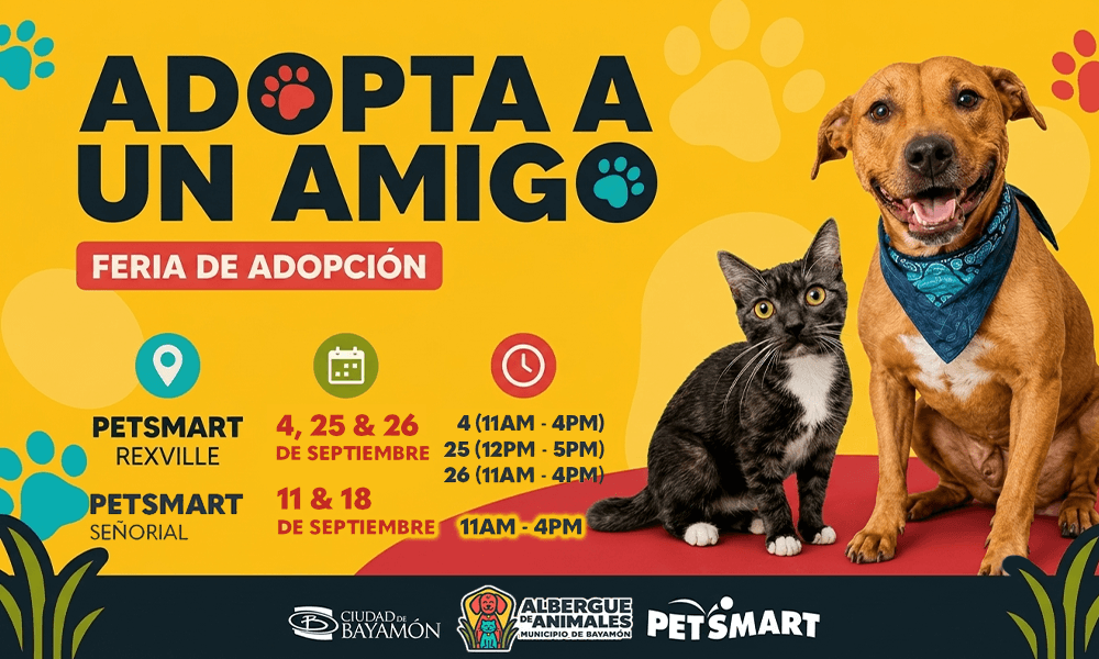 Adopta un Amigo el 4, 25 y 26 de septiembre de 2026 en Petsmart de Rexville