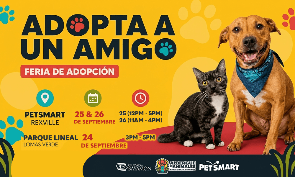 Adopta un Amigo en Septiembre