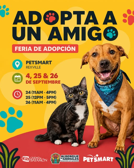 Adopta un amigo feria de adopcion Petsmart Rexville