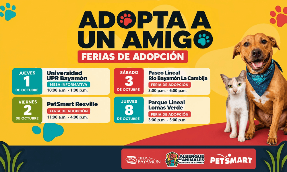 Adopta un Amigo en Octubre
