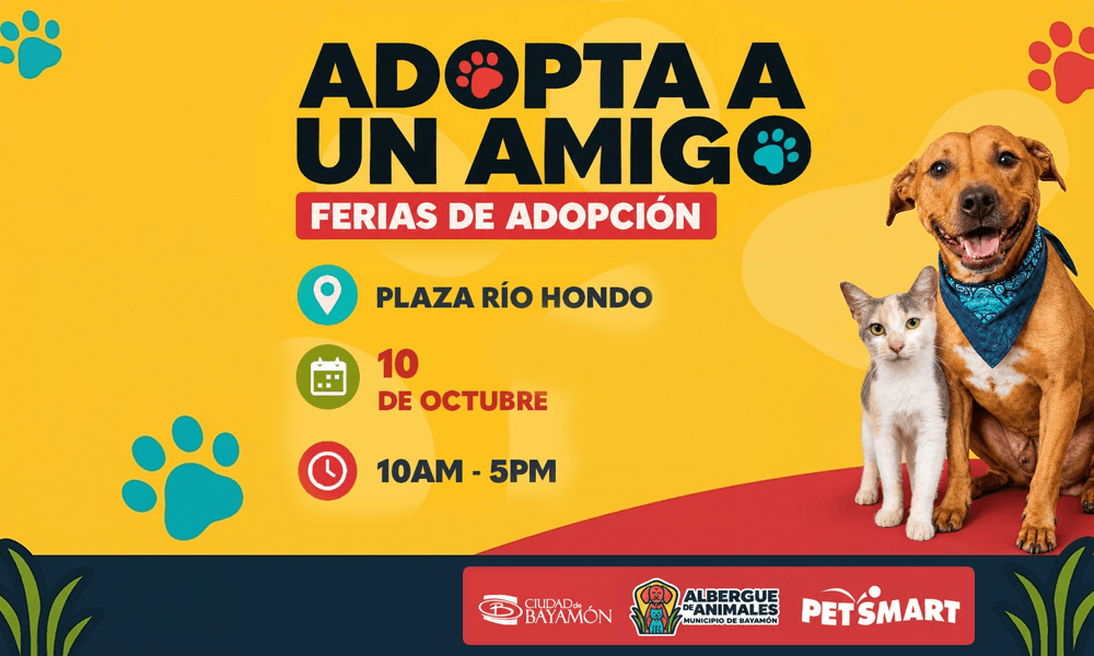 Feria de adopcion adopta a un amigo en plaza rio hondo
