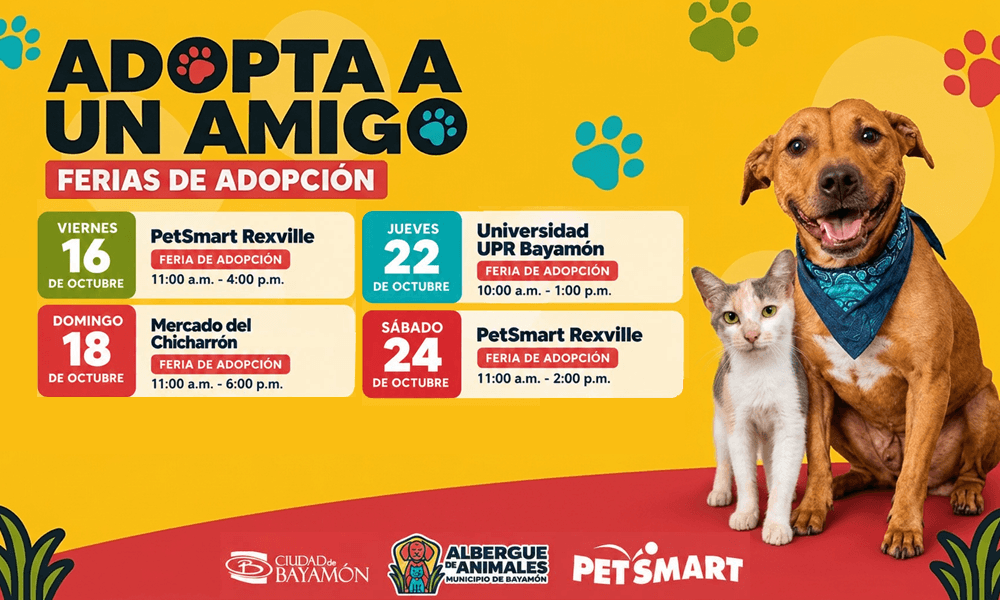 Adopta un Amigo 