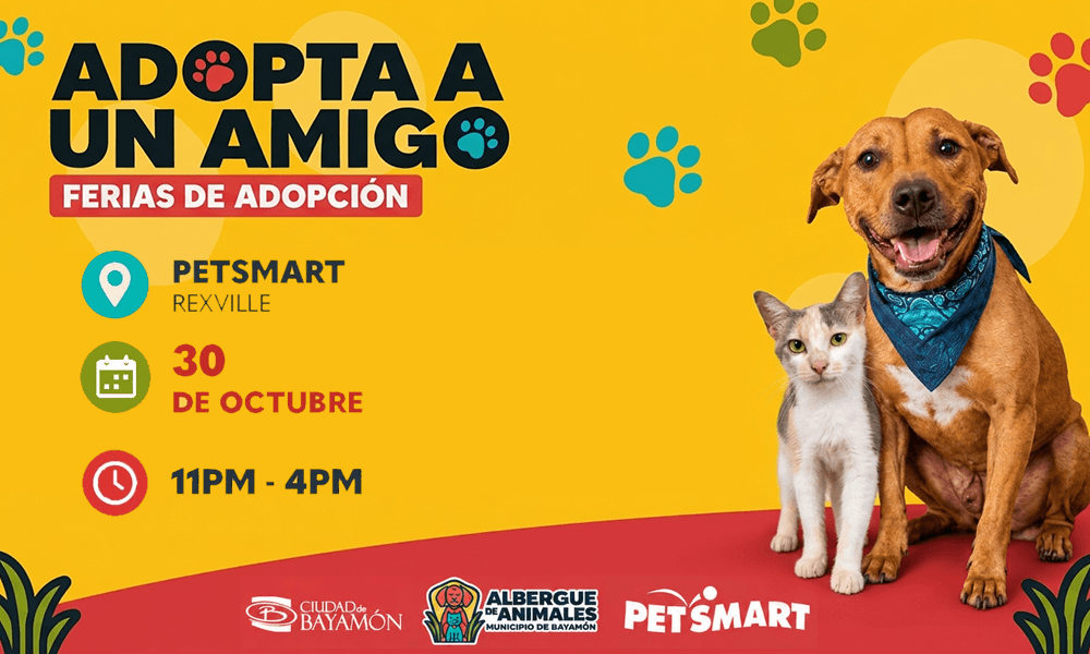 Adopta un Amigo el 30 de octubre en Petsmart Rexville