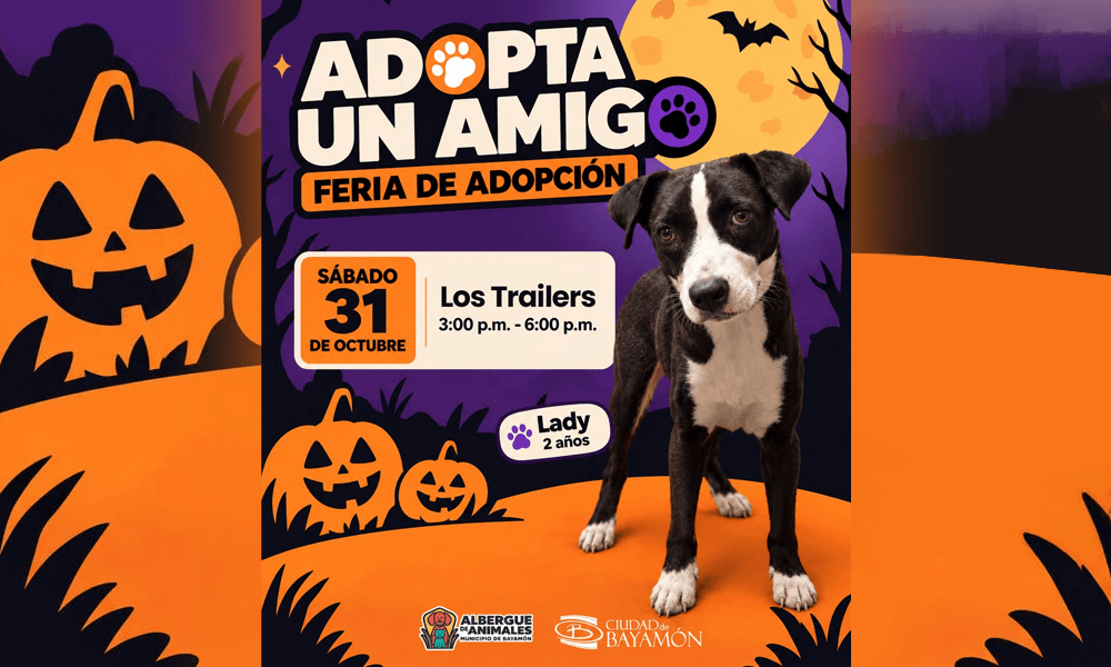 Adopta un Amigo en Los Trailers