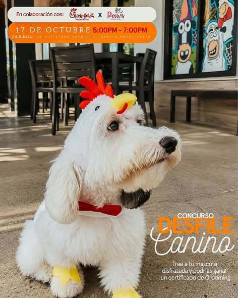 Concurso Desfile Canino en Chick fil A Plaza del Sol