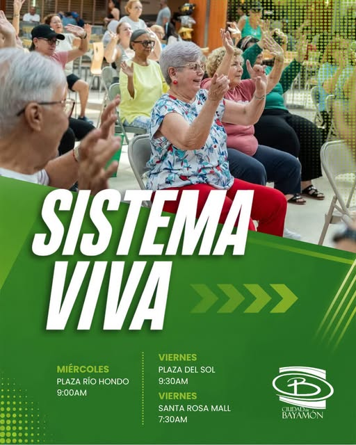 Sistema viva